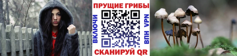 Псилоцибиновые грибы ЛСД  купить наркотик  Аткарск 